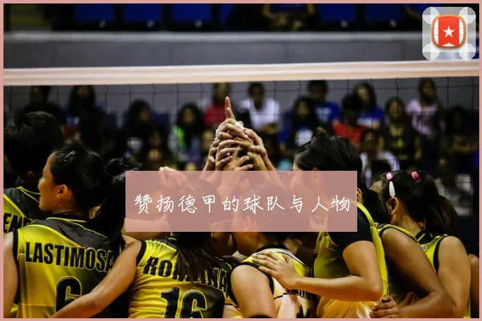 赞扬德甲的球队与人物