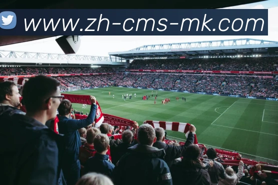 赞扬德甲的球队与人物